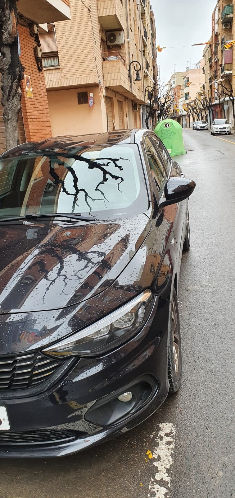 Vehículo Fiat Tipo - Imagen 4