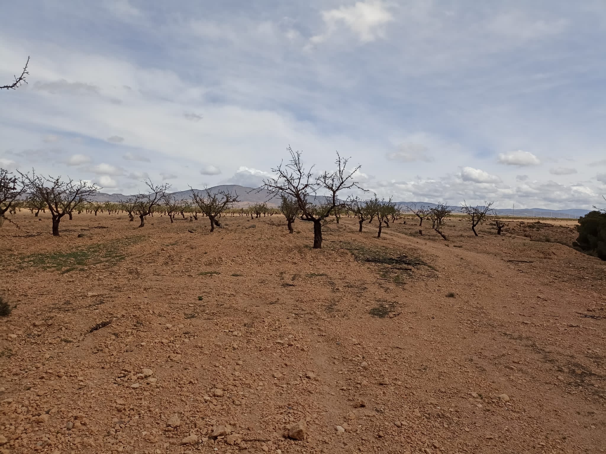 Cortijo de Andacuez - Imagen 5