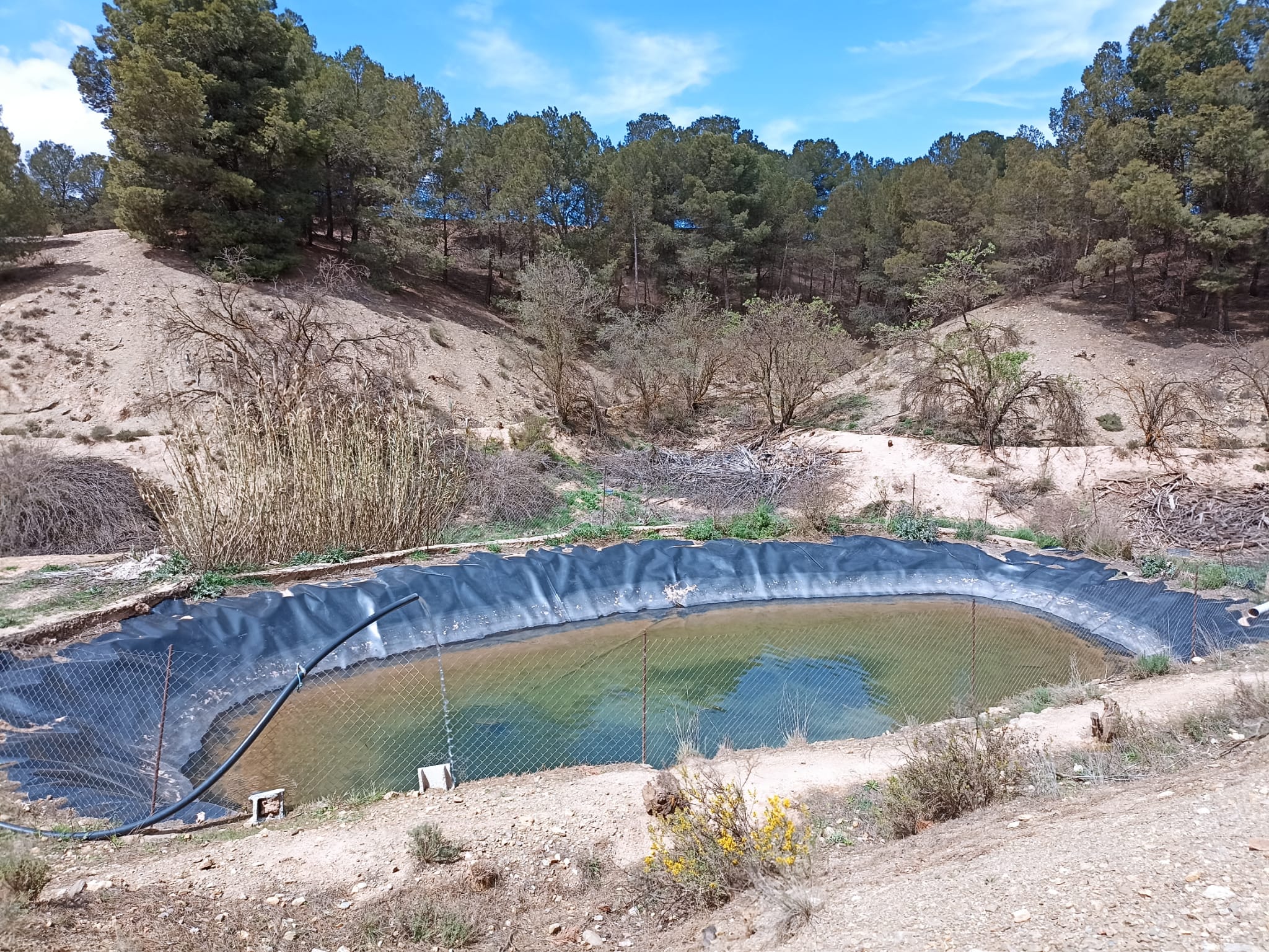 Cortijo de Andacuez - Imagen 7