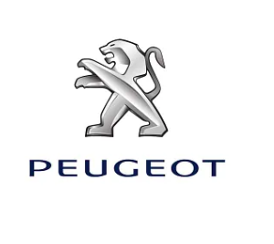 Vehículo Peugeot 5008 Style HDI