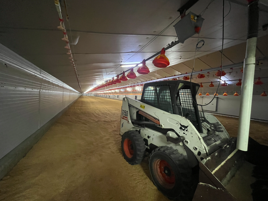 Unidad Productiva: Secadero y Semillas La Sagra S.L. - Imagen 22