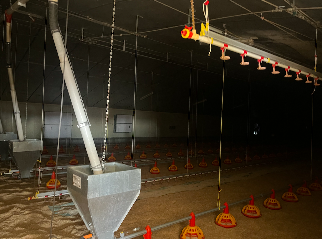 Unidad Productiva: Secadero y Semillas La Sagra S.L. - Imagen 21